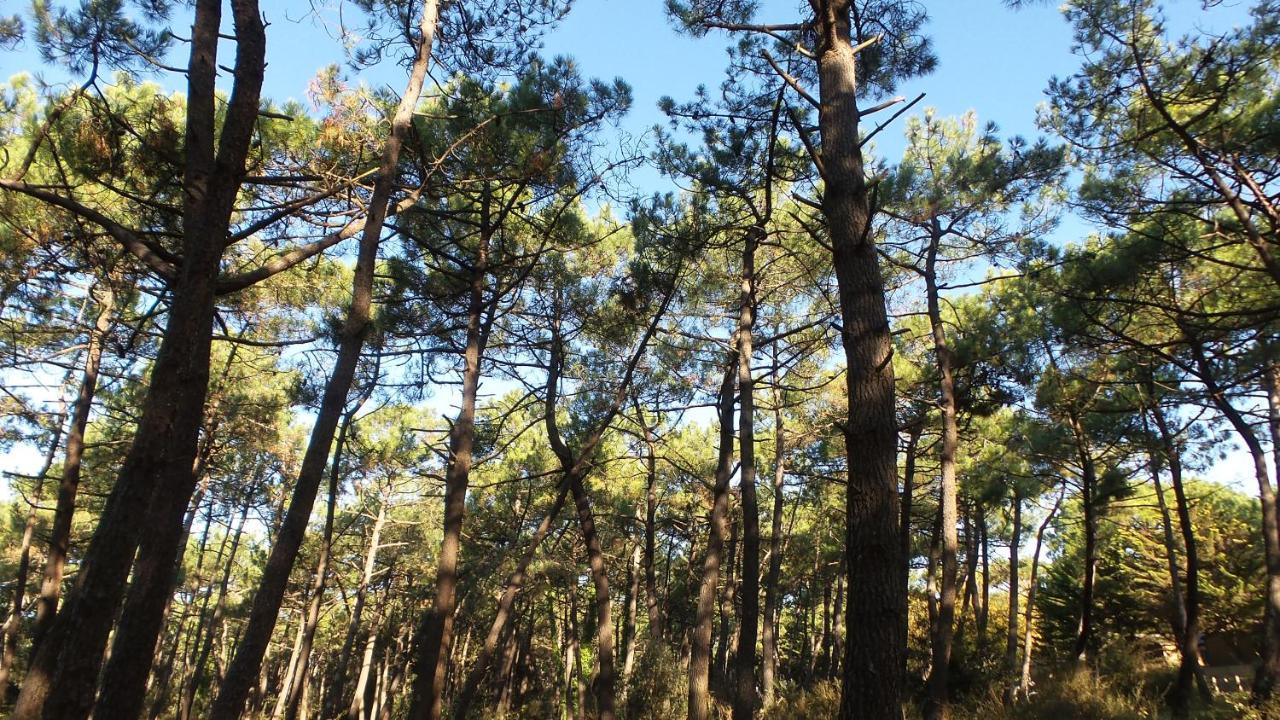 Chambre D'Hotes Et Spa De La Presqu'Ile La Faute-sur-Mer Kültér fotó